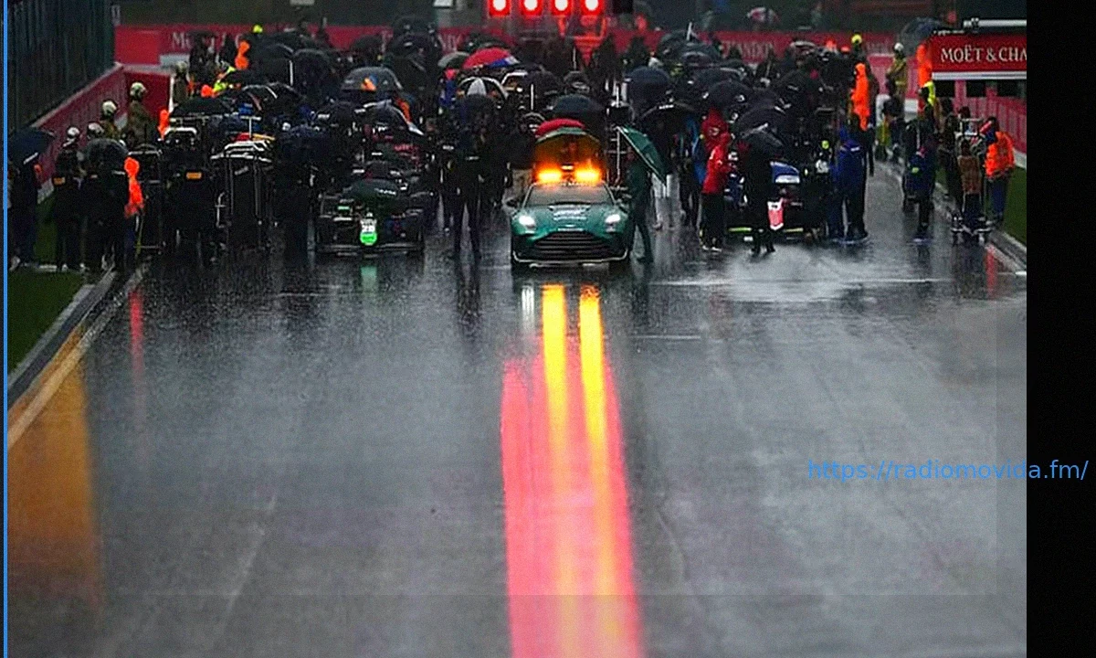 Gran Premio di Malesia 2009: Un Monsone, un Mistero e la Vittoria Fortuita di Button